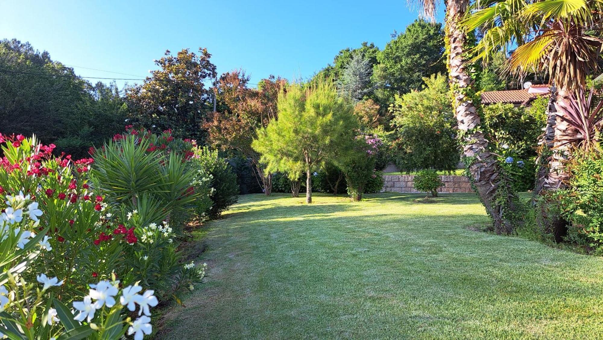 Casa Pinho Pension São Pedro do Sul Buitenkant foto