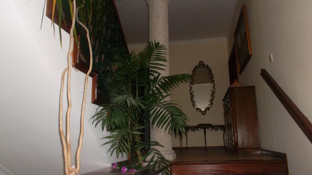 Casa Pinho Pension São Pedro do Sul Buitenkant foto